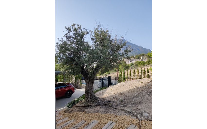 Herverkoop - Villa -
Finestrat