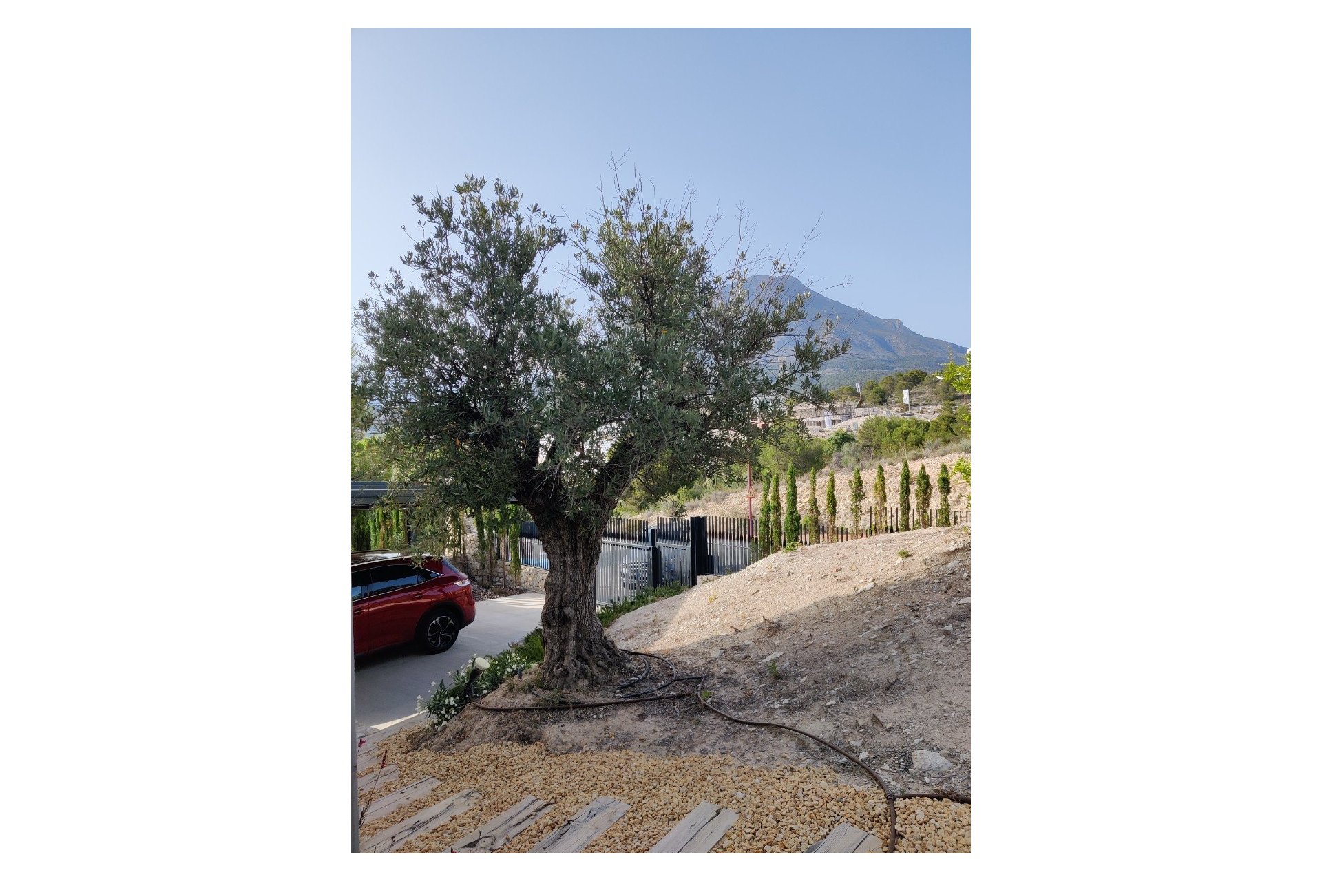 Herverkoop - Villa -
Finestrat