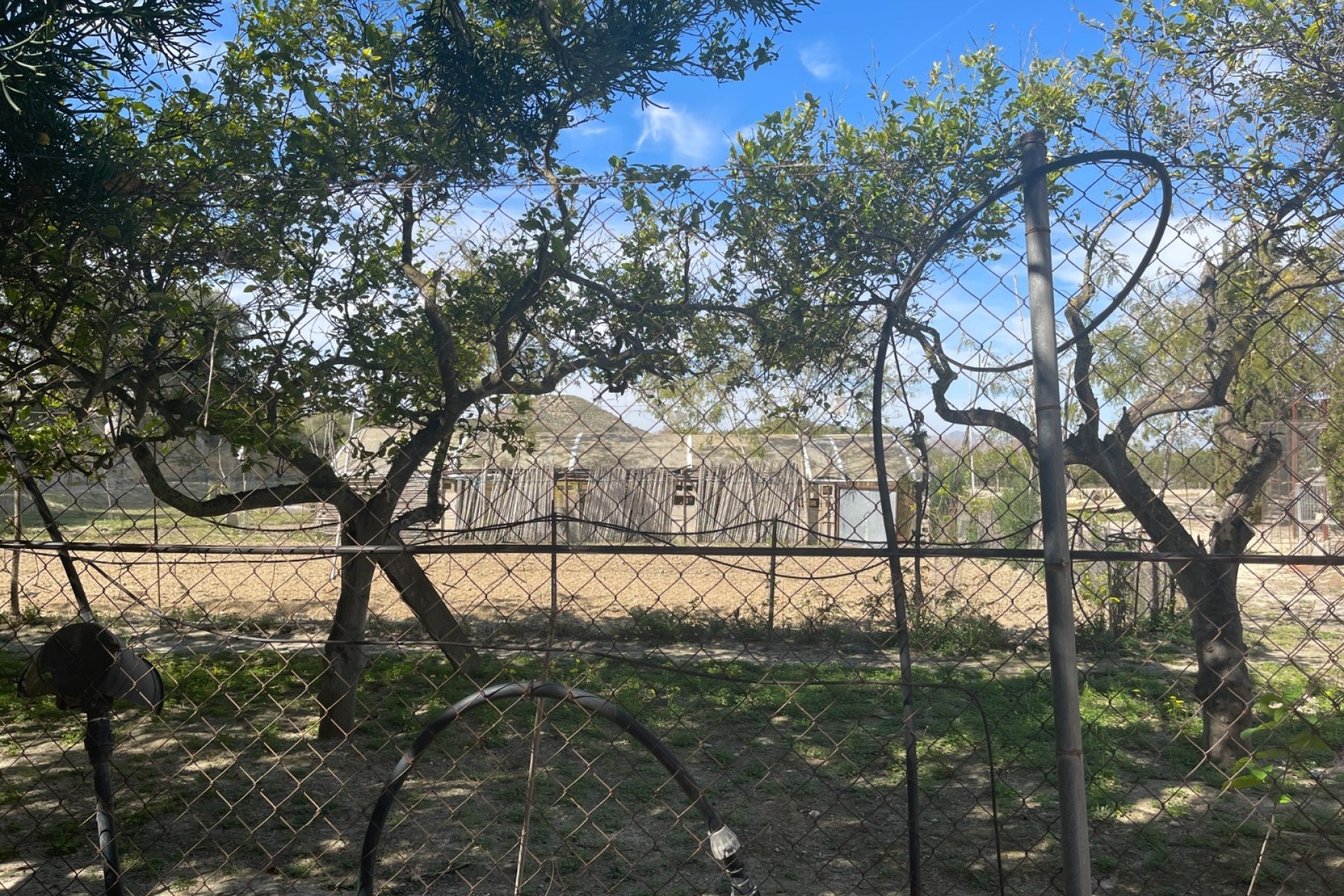 Herverkoop - Villa -
Guardamar del Segura - Costa Blanca