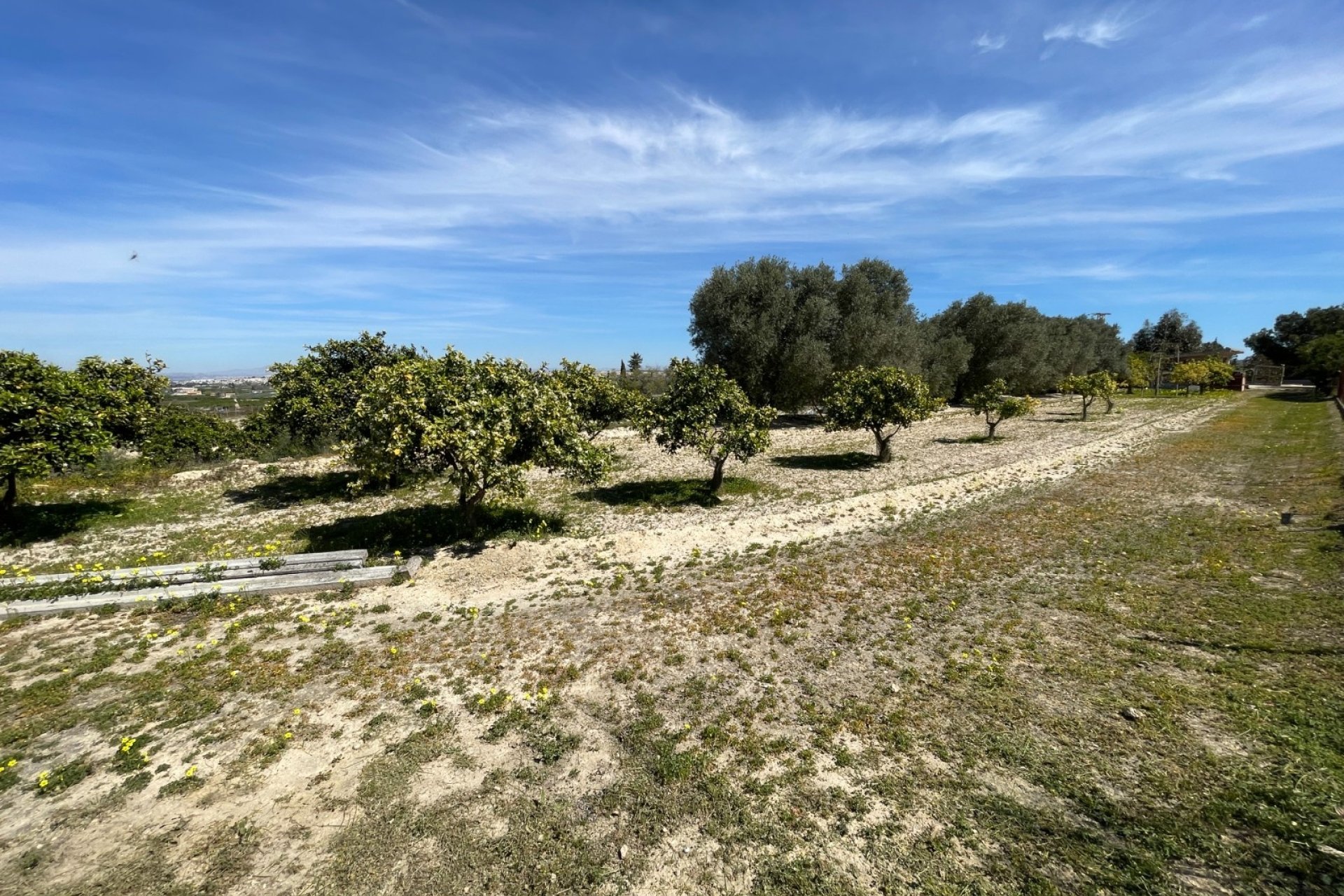 Herverkoop - Villa -
Guardamar del Segura - Costa Blanca