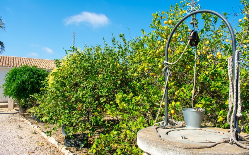 Herverkoop - Villa -
Guardamar del Segura - El Raso