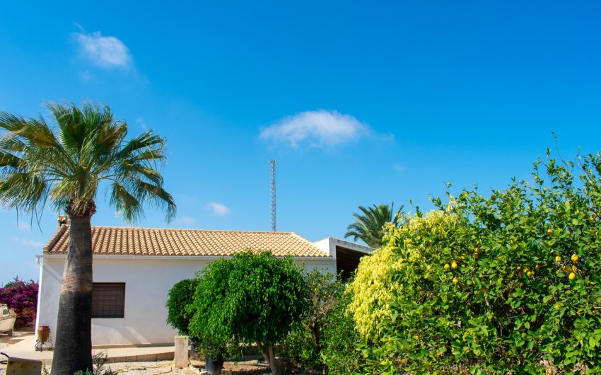 Herverkoop - Villa -
Guardamar del Segura - El Raso