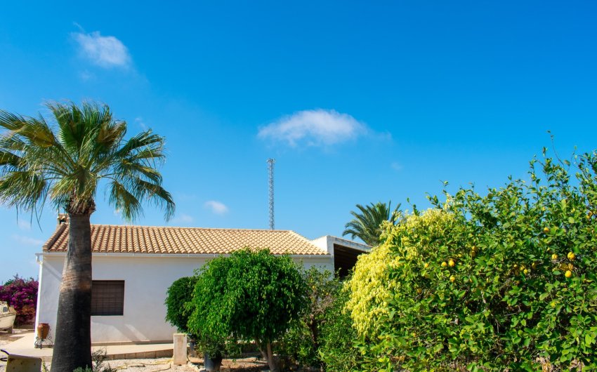 Herverkoop - Villa -
Guardamar del Segura - El Raso