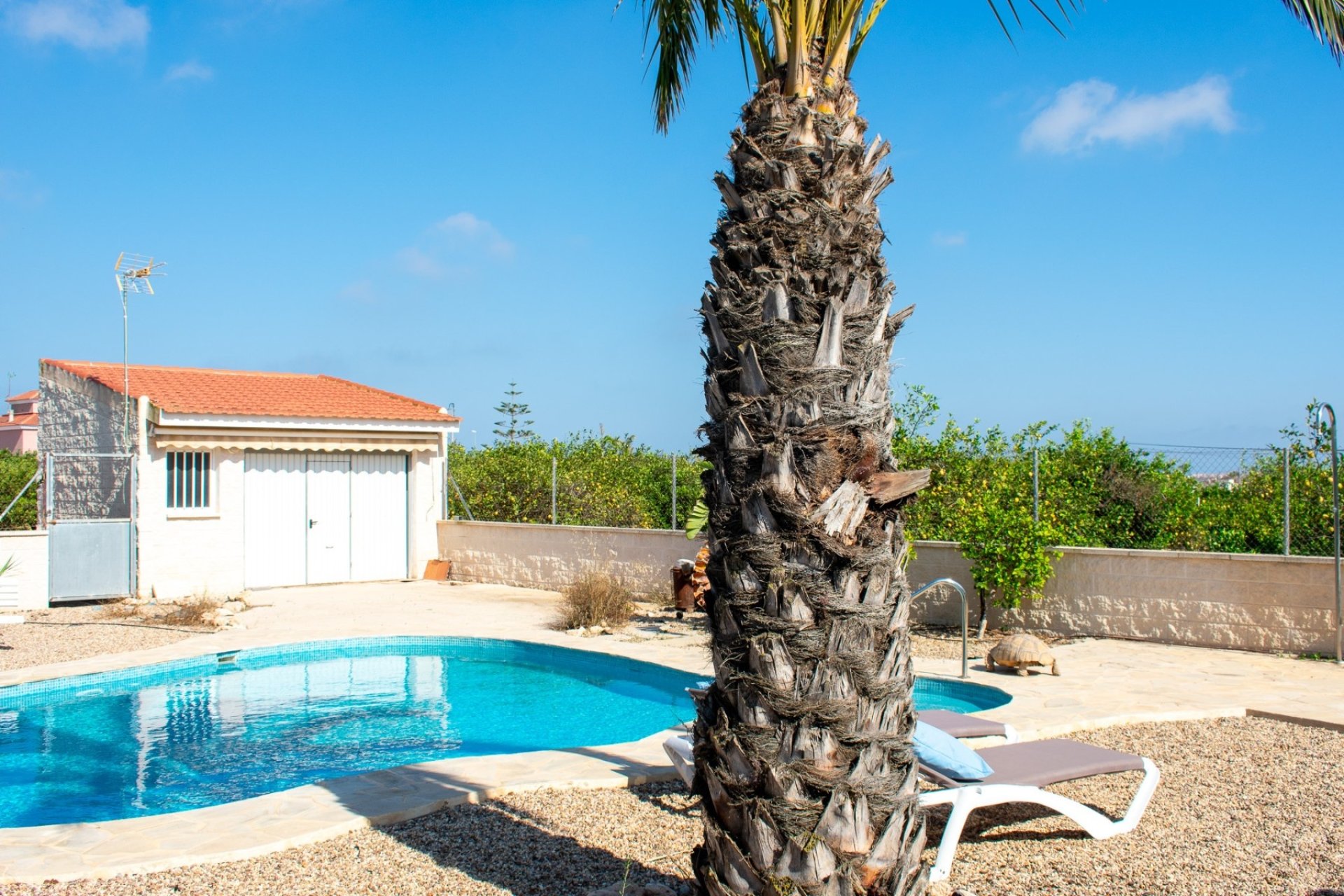 Herverkoop - Villa -
Guardamar del Segura - El Raso