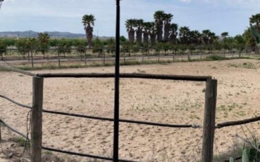 Herverkoop - Villa -
Monforte del Cid