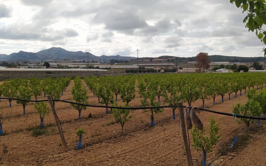 Herverkoop - Villa -
Monforte del Cid