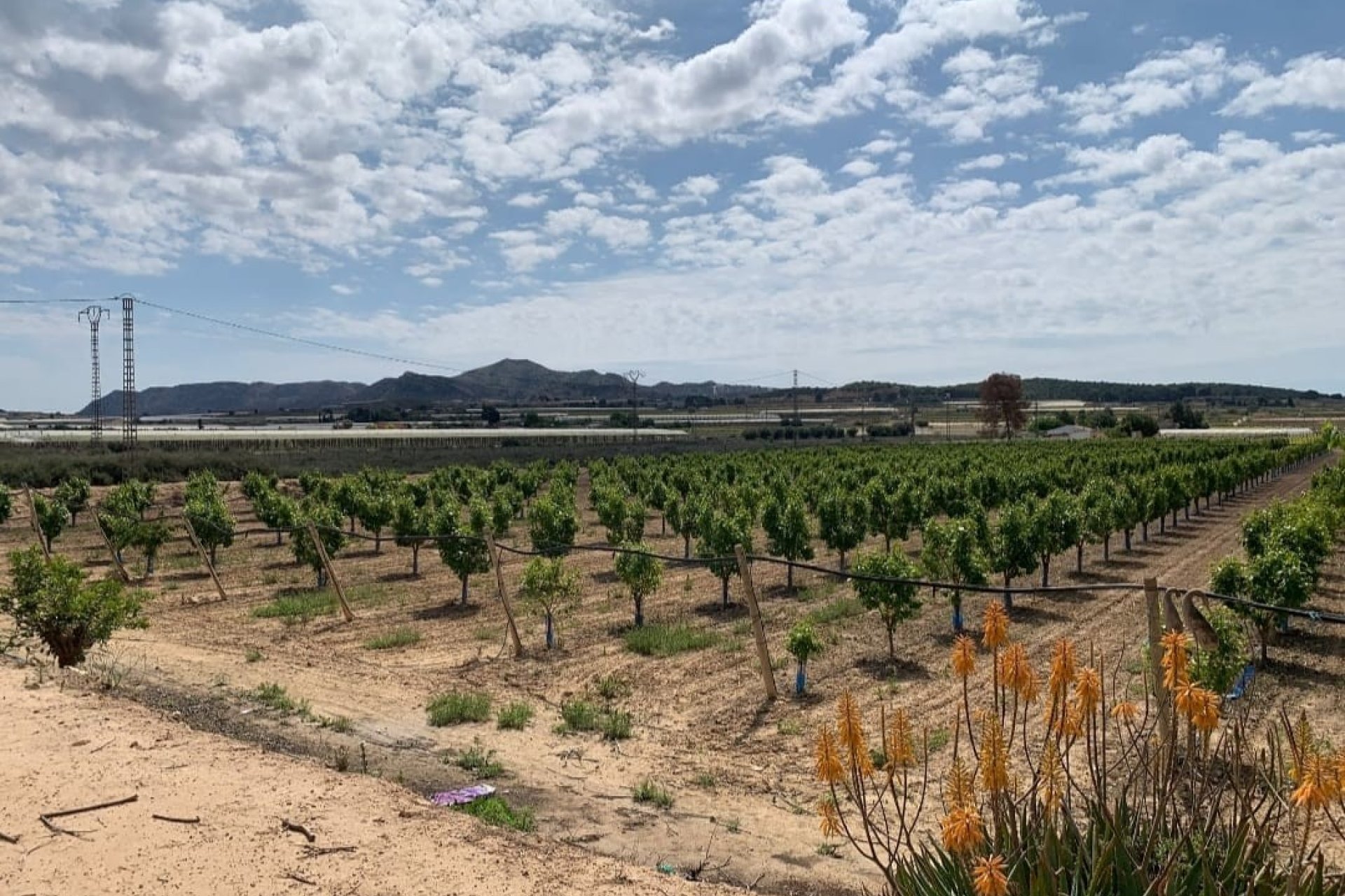 Herverkoop - Villa -
Monforte del Cid