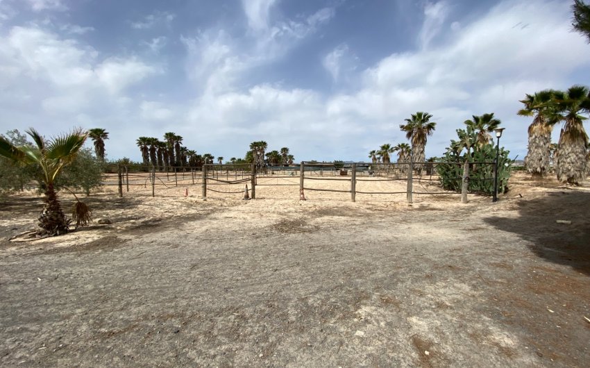 Herverkoop - Villa -
Monforte del Cid