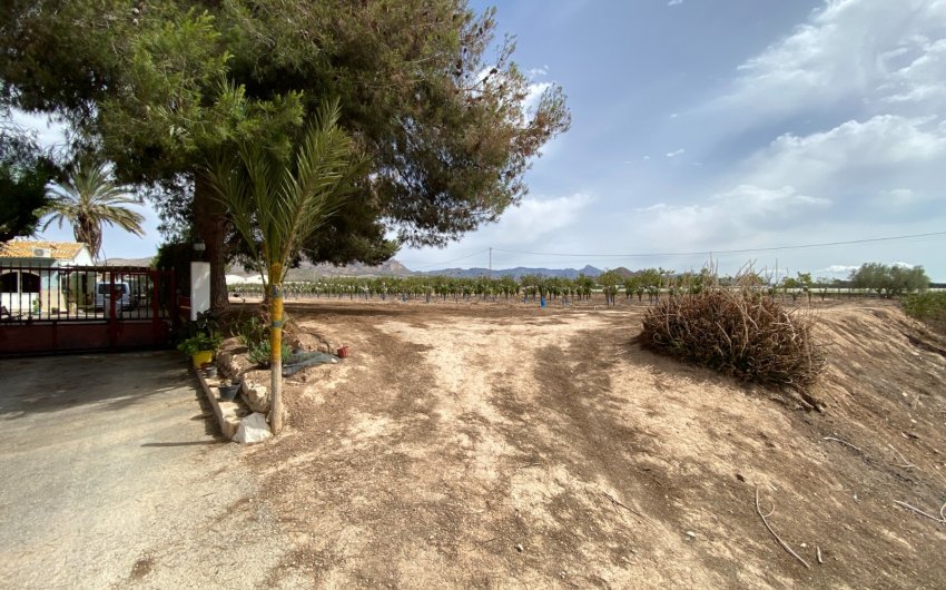 Herverkoop - Villa -
Monforte del Cid