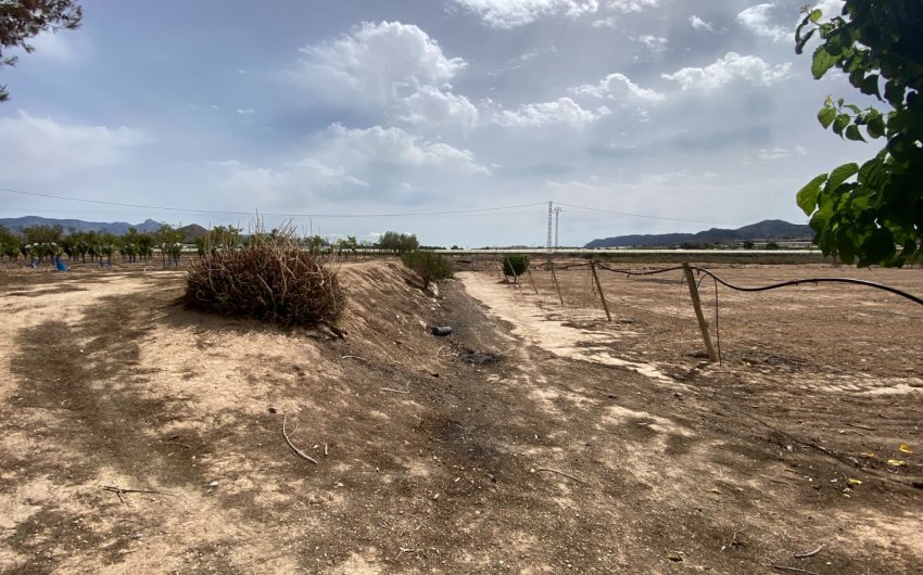 Herverkoop - Villa -
Monforte del Cid