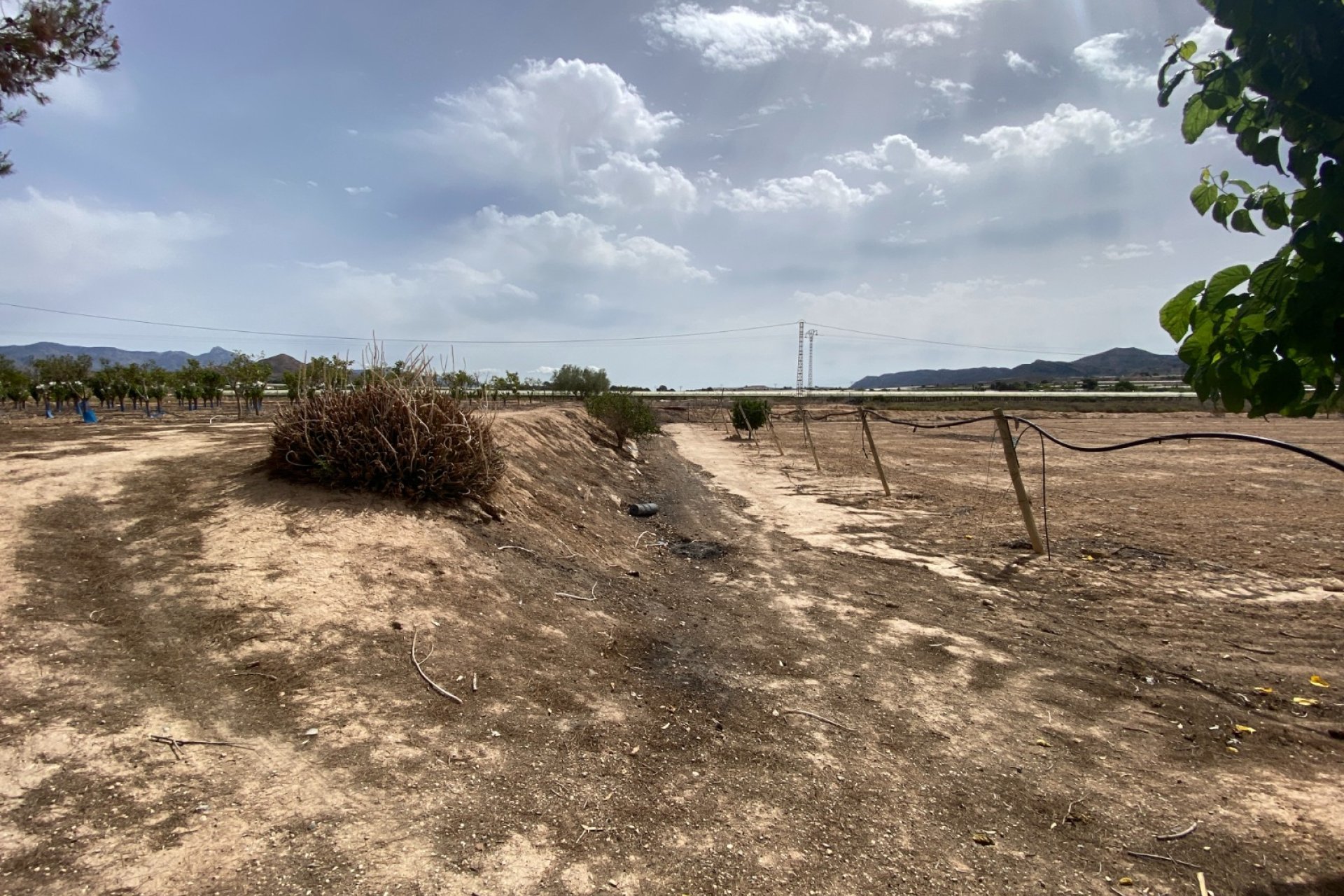 Herverkoop - Villa -
Monforte del Cid