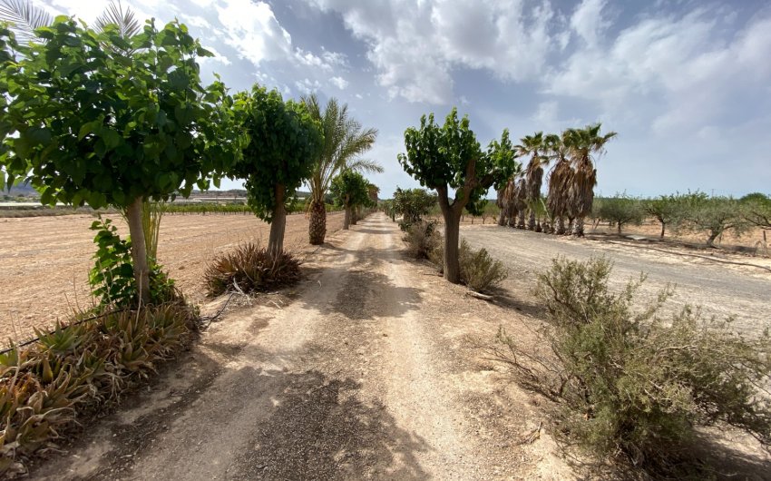 Herverkoop - Villa -
Monforte del Cid