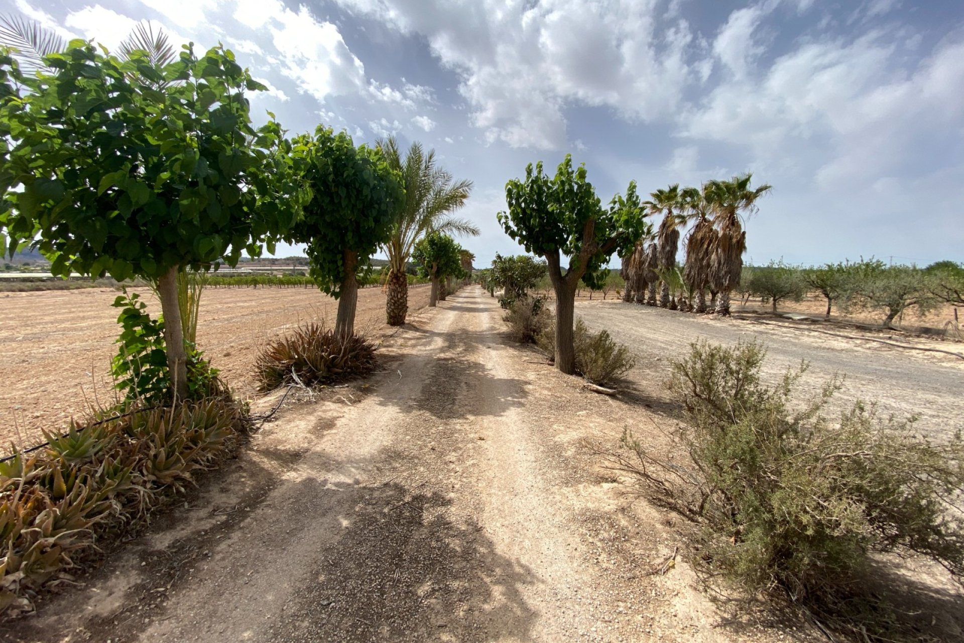 Herverkoop - Villa -
Monforte del Cid