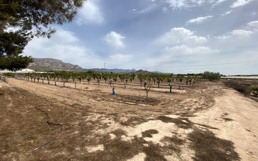 Herverkoop - Villa -
Monforte del Cid