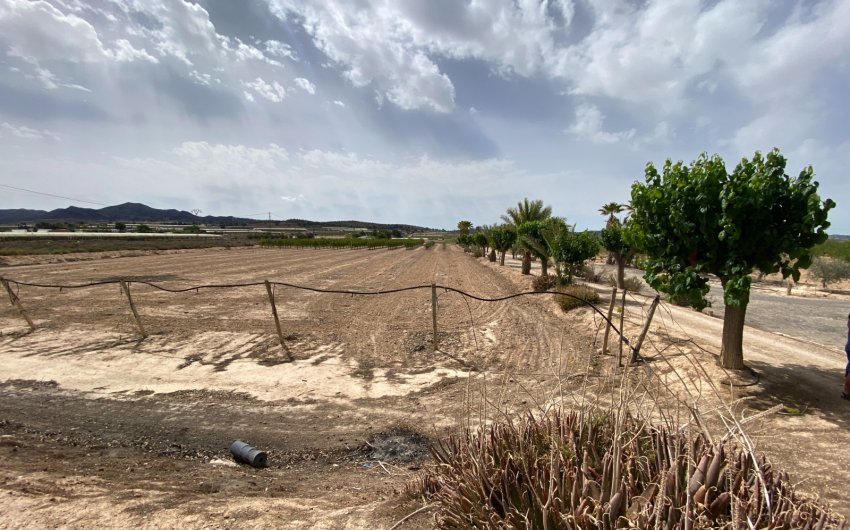 Herverkoop - Villa -
Monforte del Cid