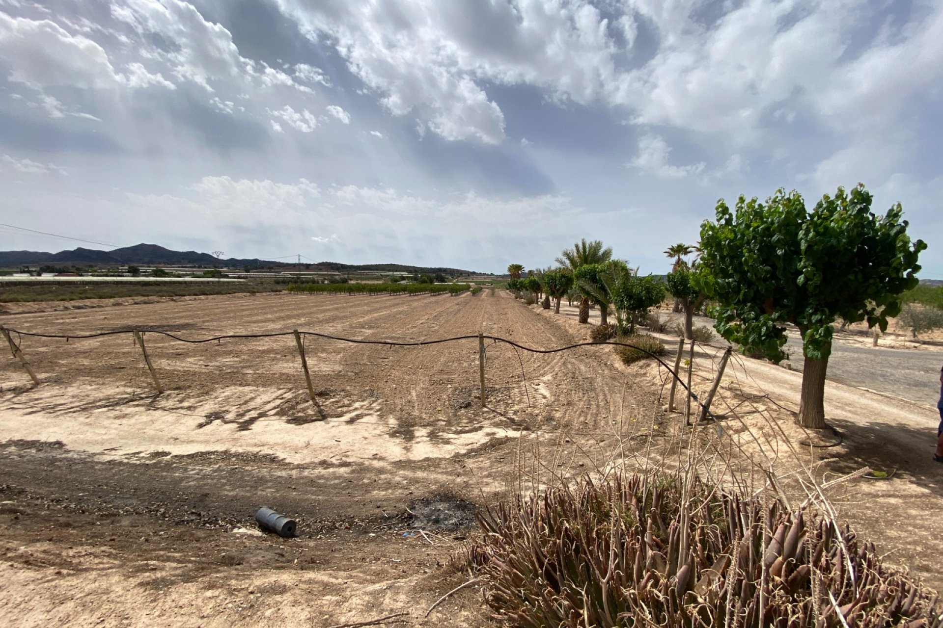 Herverkoop - Villa -
Monforte del Cid