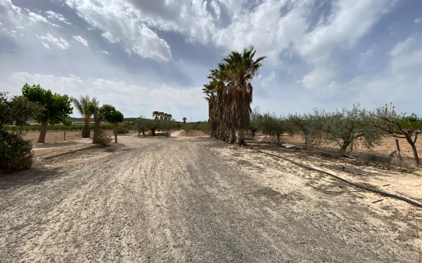 Herverkoop - Villa -
Monforte del Cid