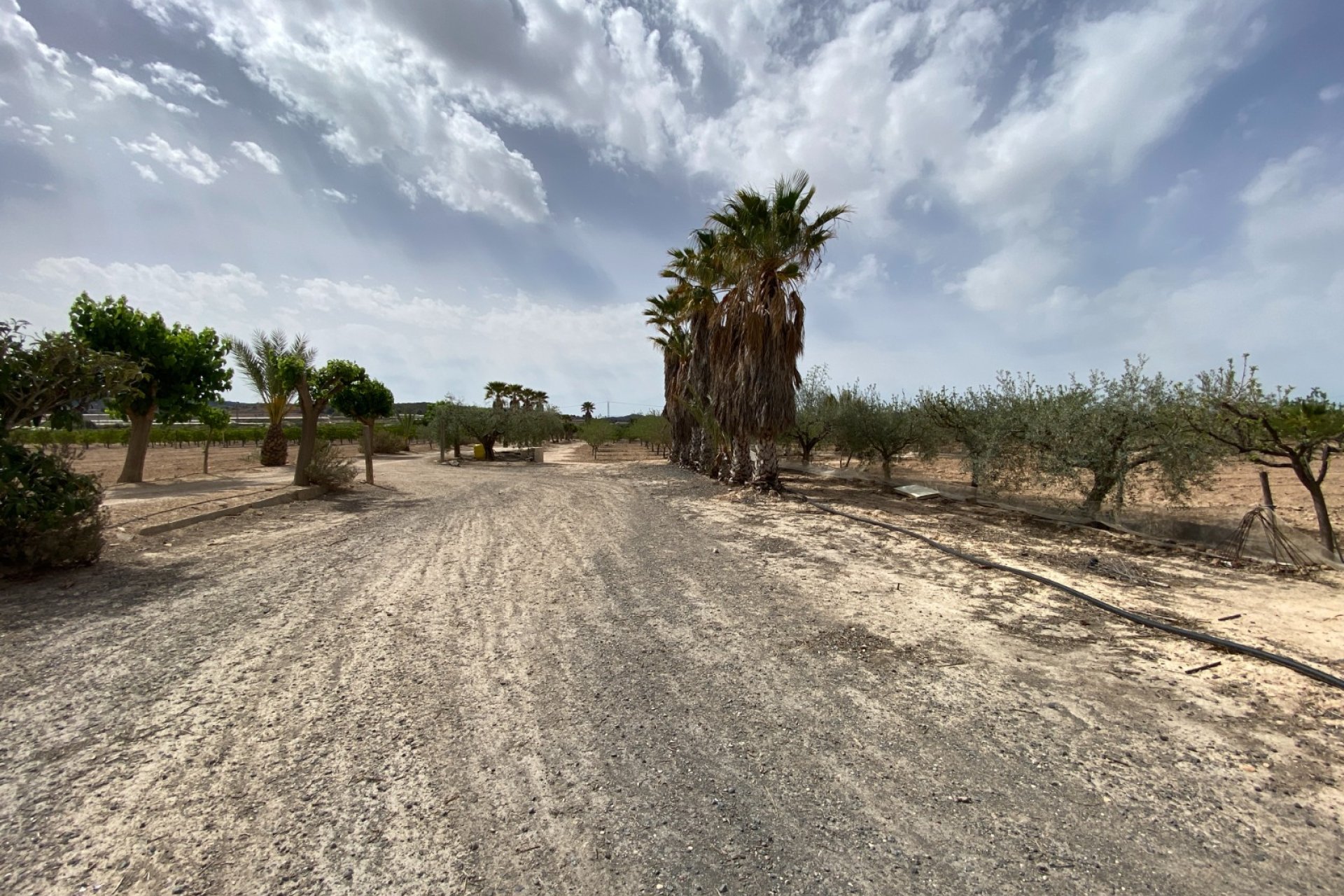 Herverkoop - Villa -
Monforte del Cid