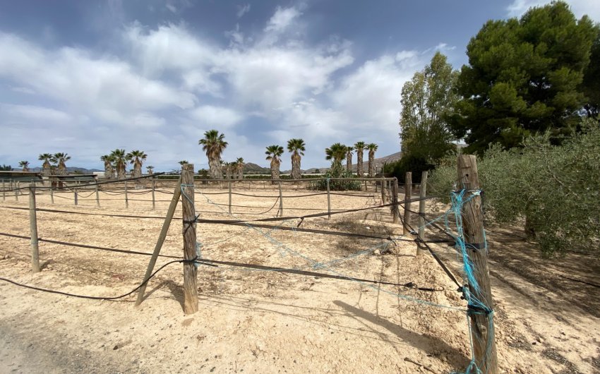 Herverkoop - Villa -
Monforte del Cid