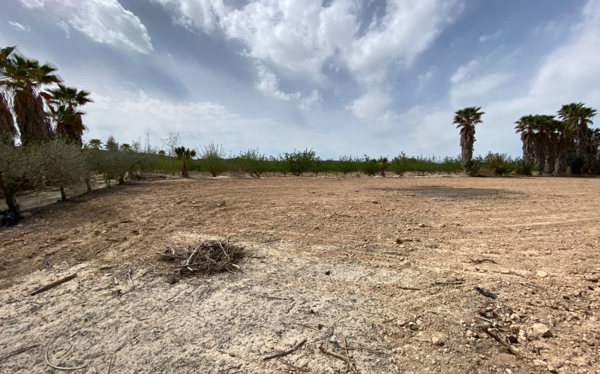 Herverkoop - Villa -
Monforte del Cid