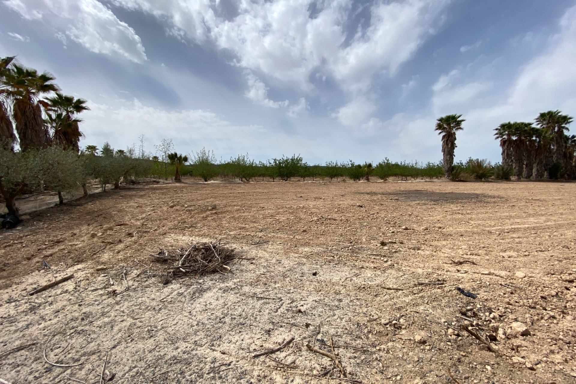 Herverkoop - Villa -
Monforte del Cid