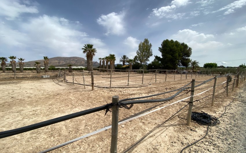 Herverkoop - Villa -
Monforte del Cid