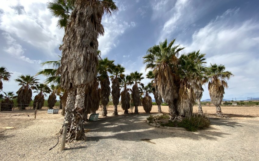 Herverkoop - Villa -
Monforte del Cid