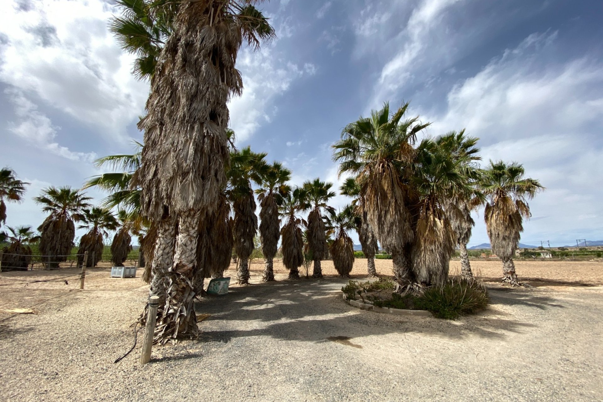 Herverkoop - Villa -
Monforte del Cid