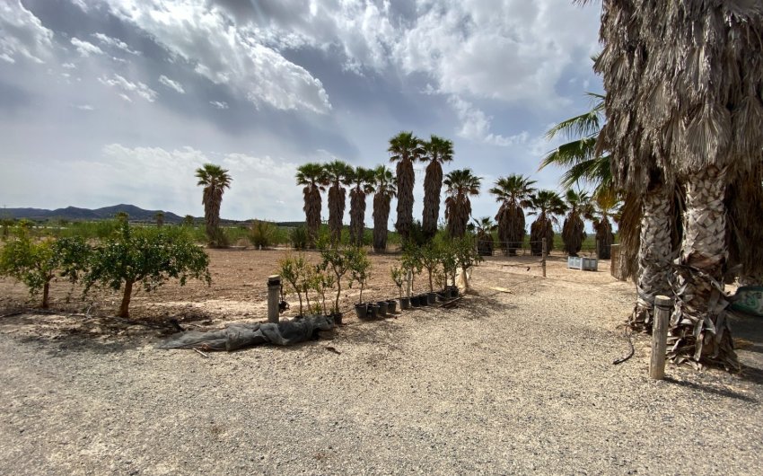 Herverkoop - Villa -
Monforte del Cid