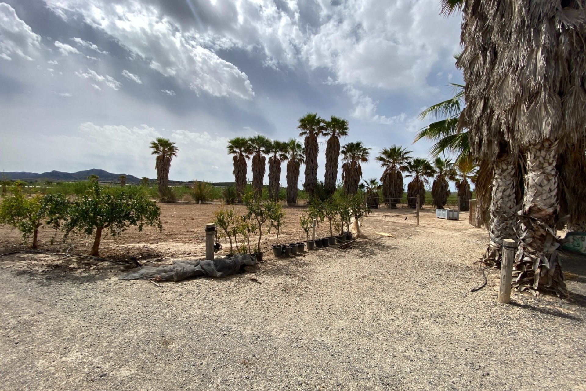 Herverkoop - Villa -
Monforte del Cid