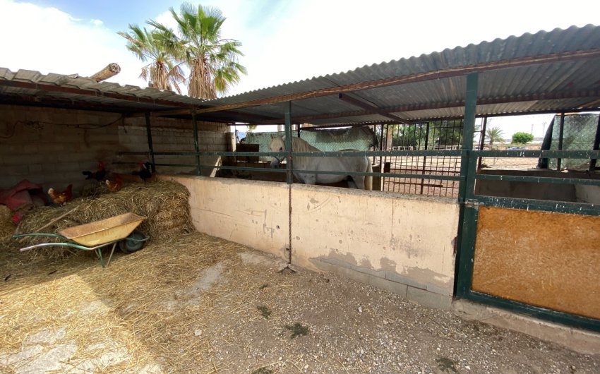 Herverkoop - Villa -
Monforte del Cid