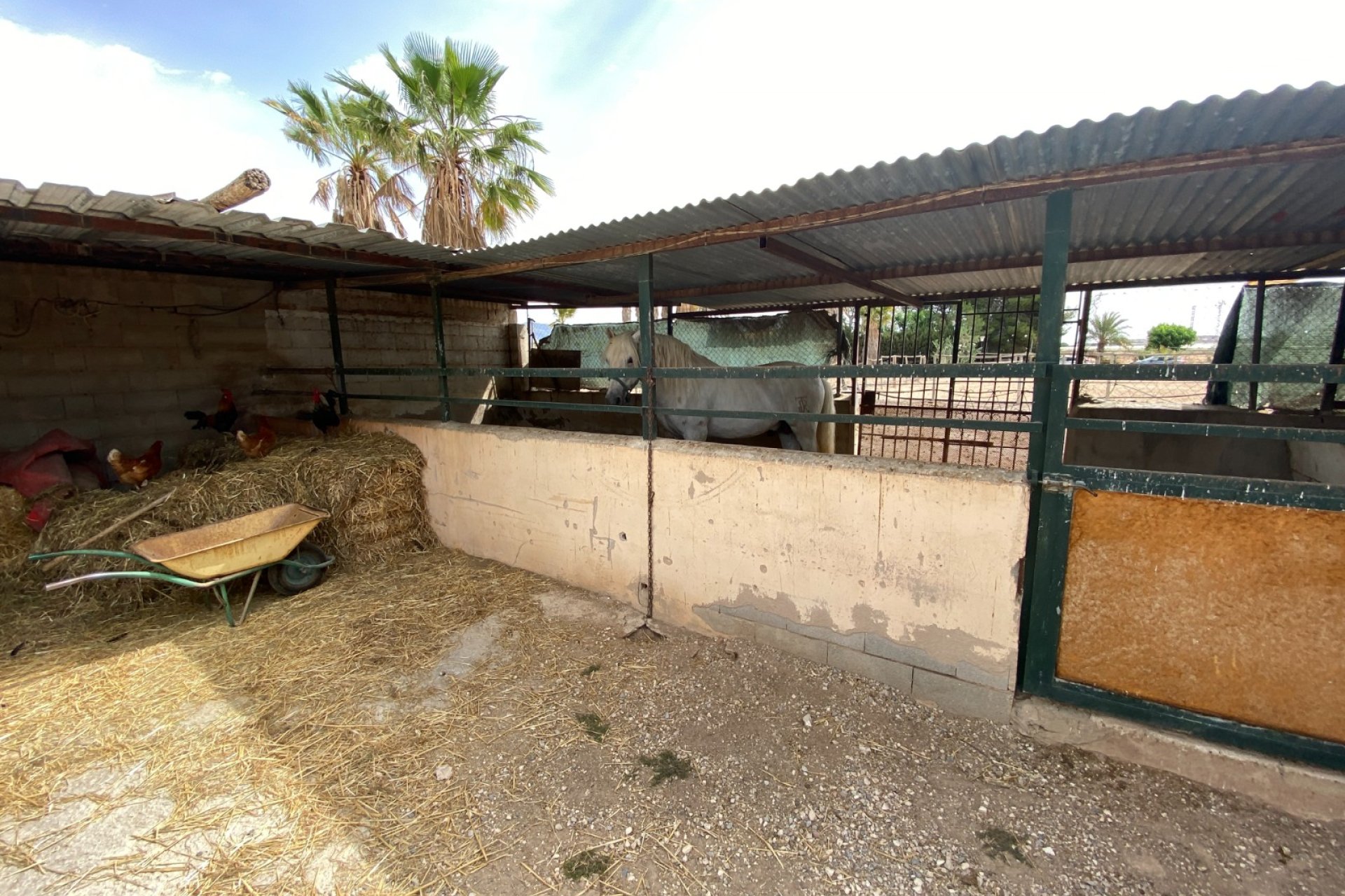 Herverkoop - Villa -
Monforte del Cid