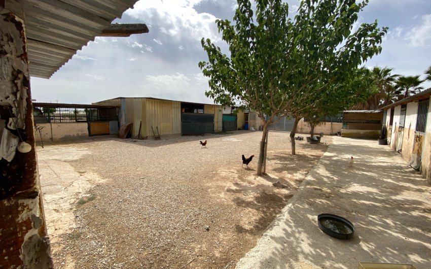 Herverkoop - Villa -
Monforte del Cid