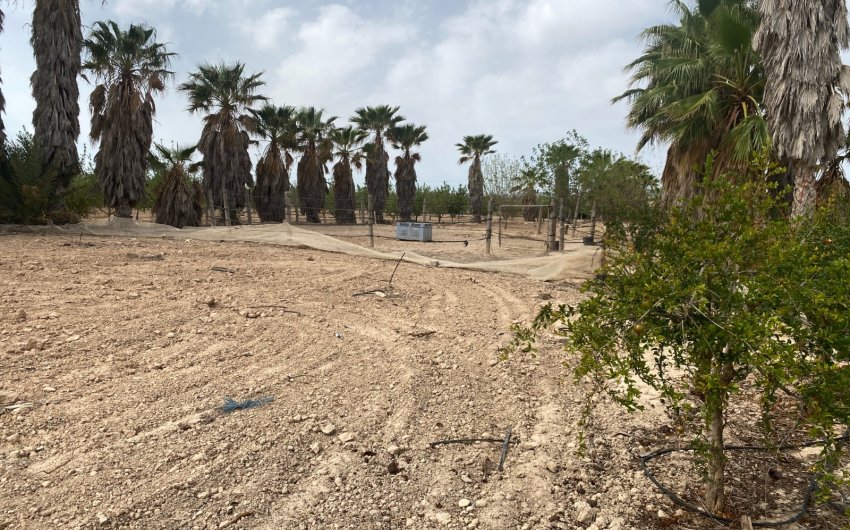 Herverkoop - Villa -
Monforte del Cid