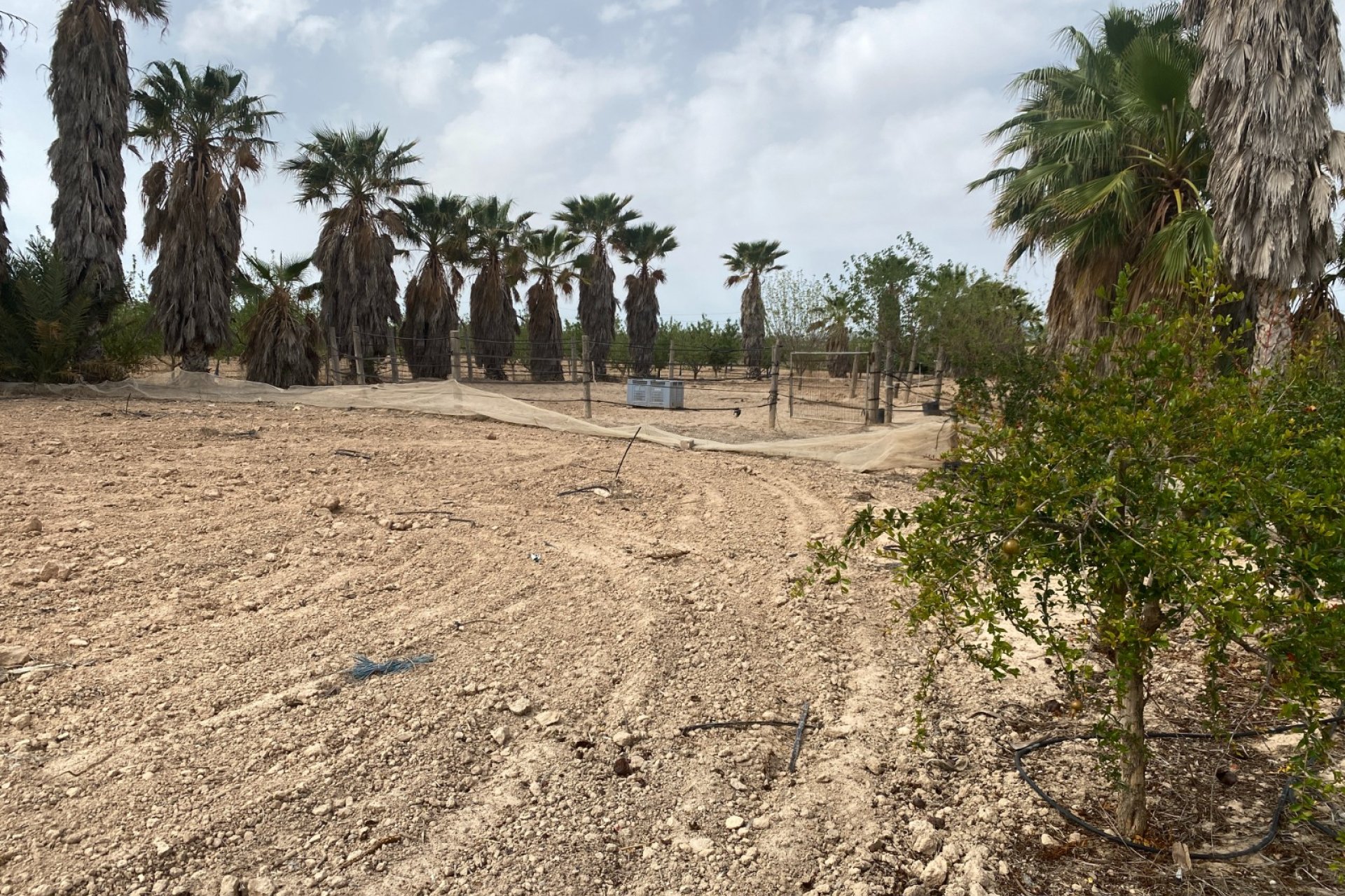 Herverkoop - Villa -
Monforte del Cid