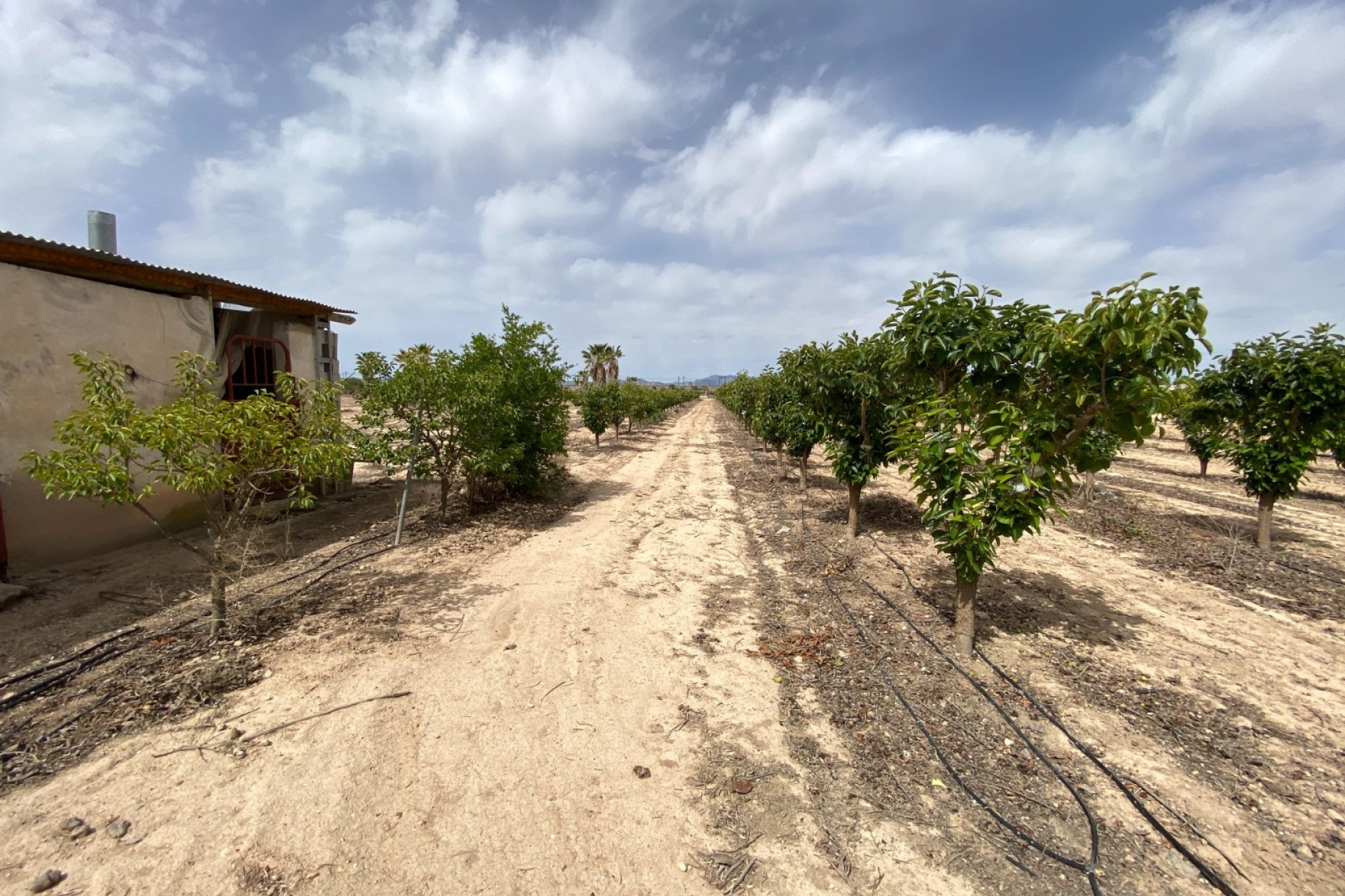 Herverkoop - Villa -
Monforte del Cid