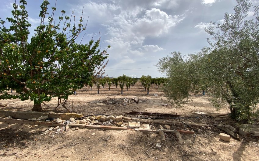 Herverkoop - Villa -
Monforte del Cid