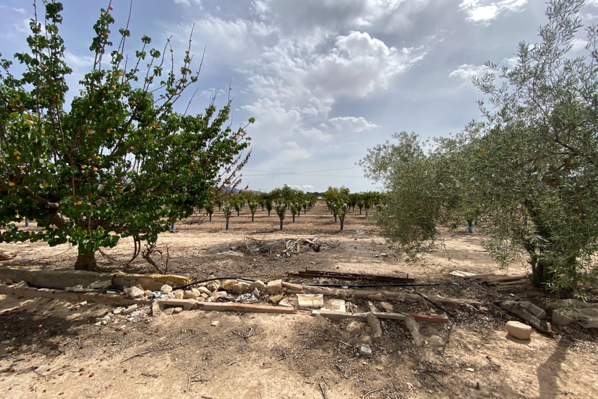 Herverkoop - Villa -
Monforte del Cid