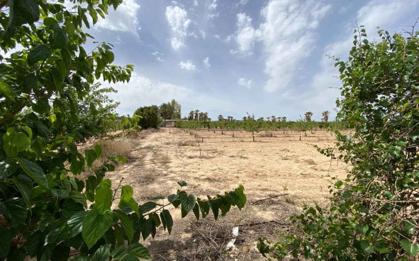 Herverkoop - Villa -
Monforte del Cid