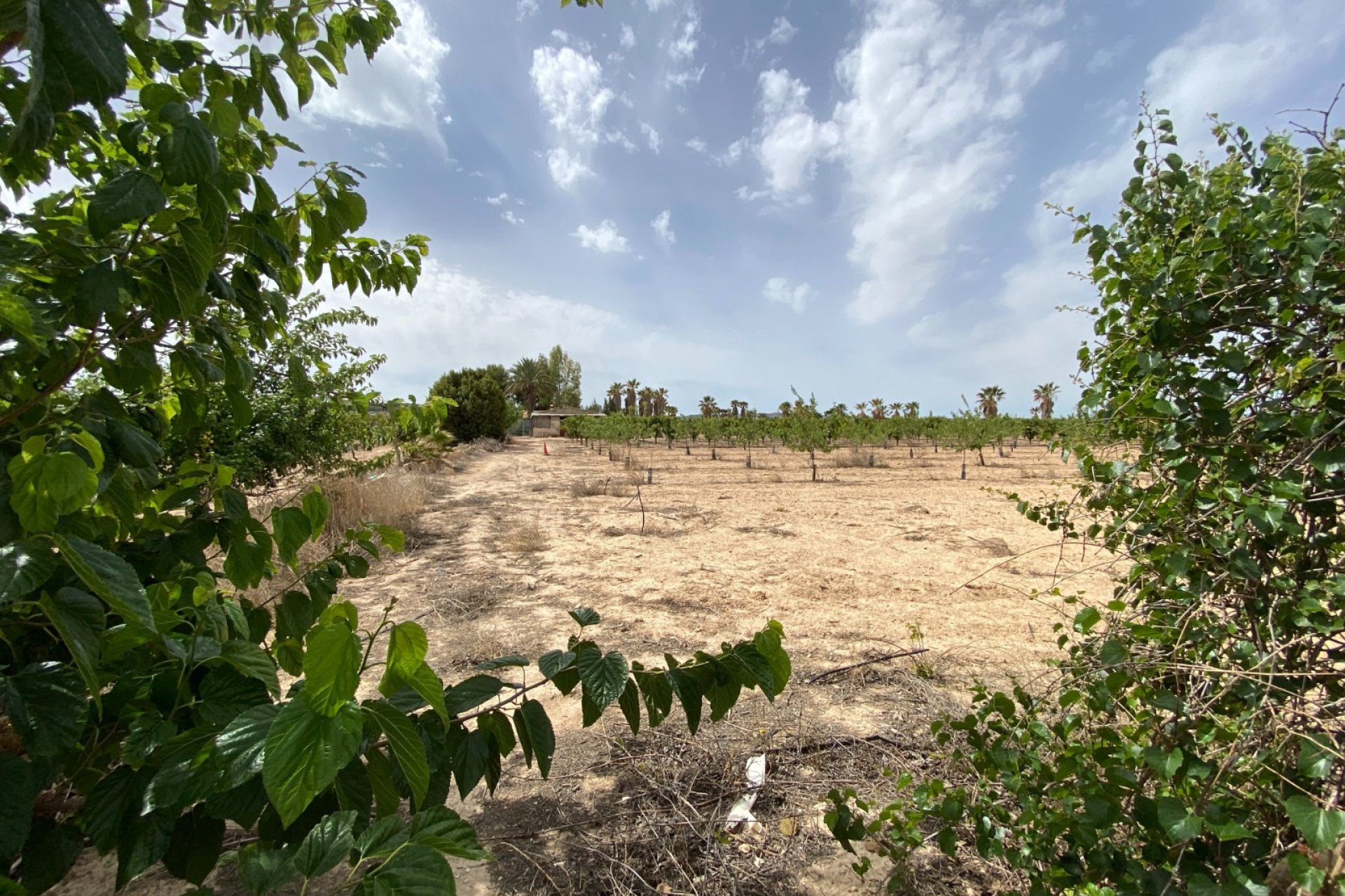 Herverkoop - Villa -
Monforte del Cid