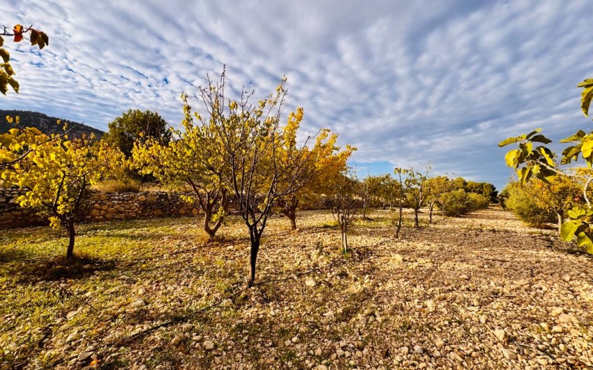 Herverkoop - Villa -
Monóvar - Monovar