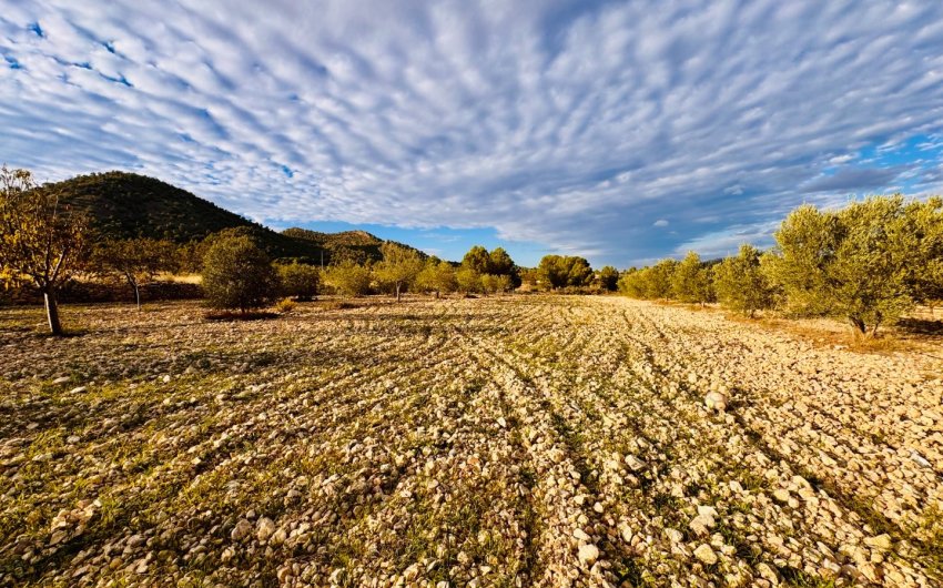 Herverkoop - Villa -
Monóvar - Monovar