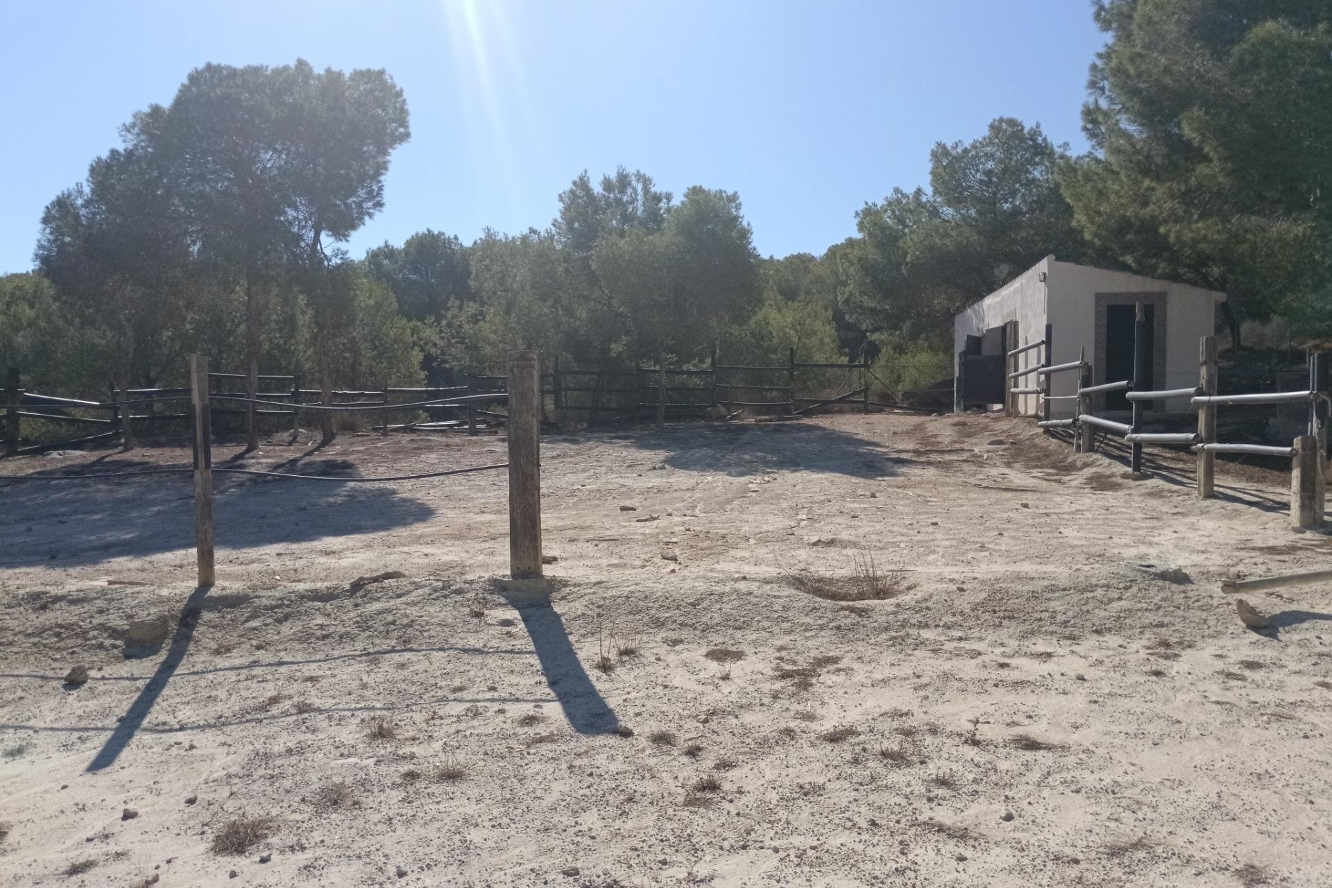 Herverkoop - Villa -
Orihuela - Torremendo