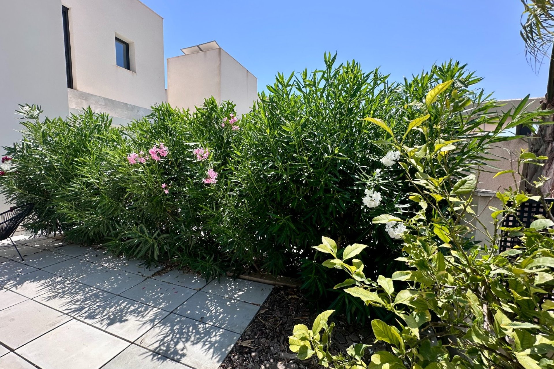 Herverkoop - Villa -
Rojales