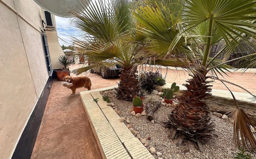 Herverkoop - Villa -
Sax