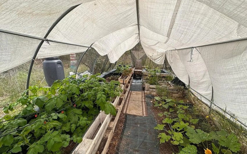 Herverkoop - Villa -
Sax