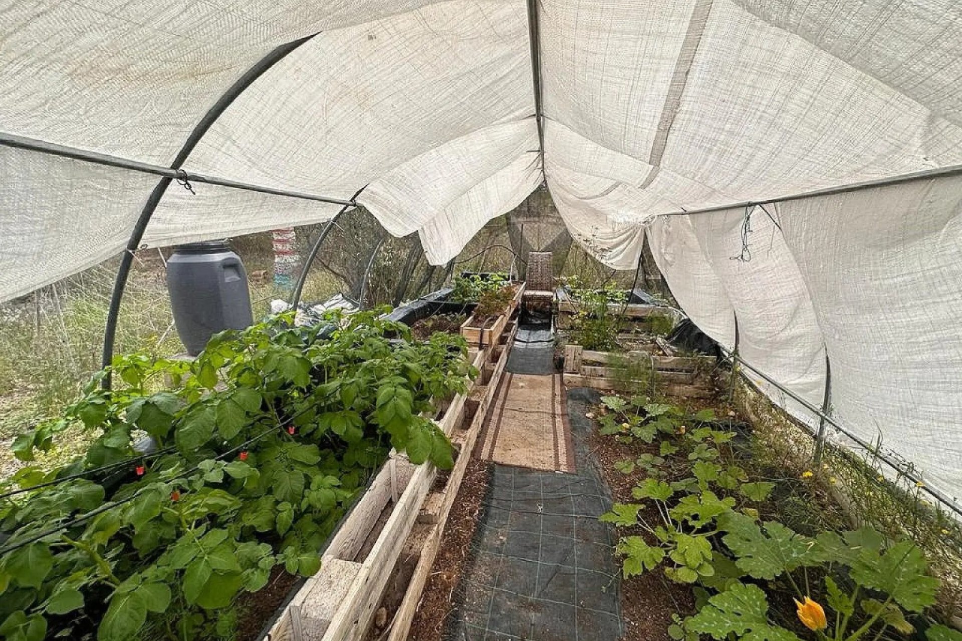 Herverkoop - Villa -
Sax