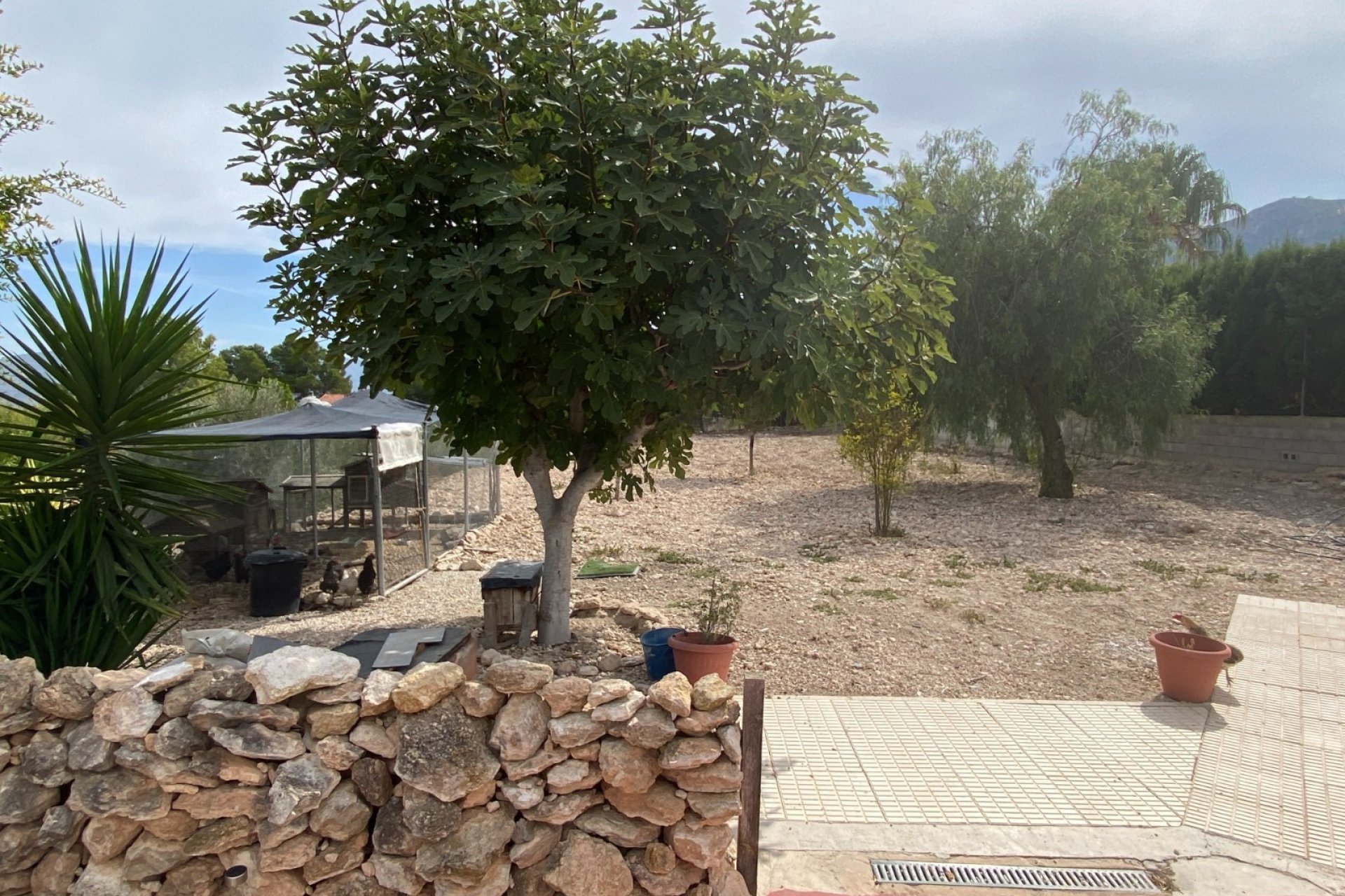 Herverkoop - Villa -
Sax