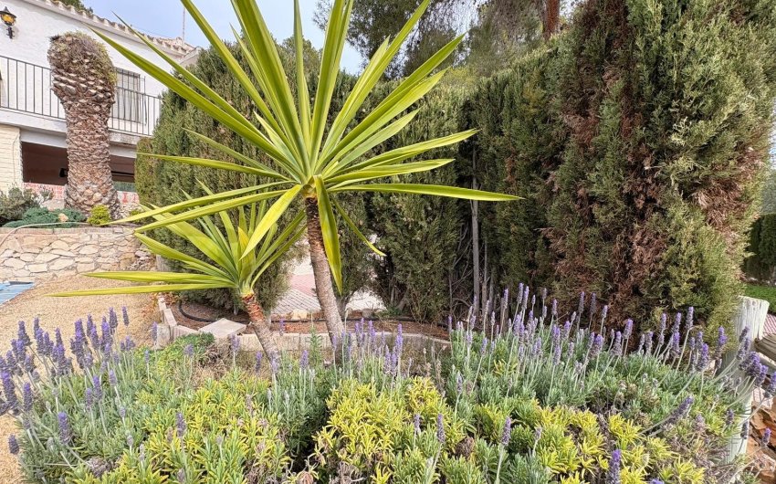 Herverkoop - Villa -
Sax