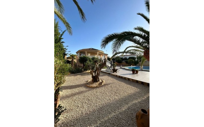 Herverkoop - Villa -
Torrevieja - Aguas Nuevas